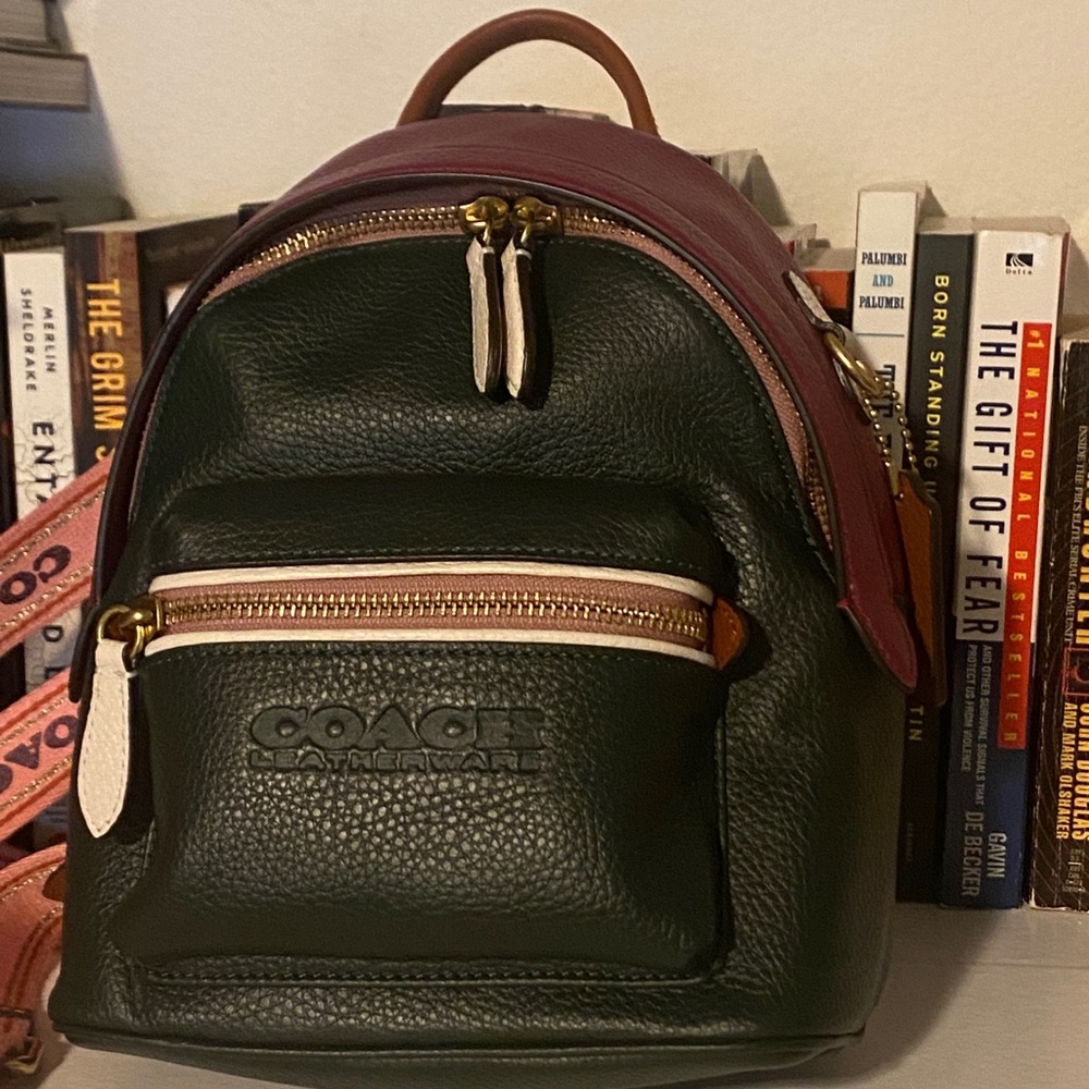 Coach Charter Backpack 18 Colorblock